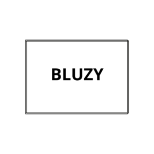 Bluzy